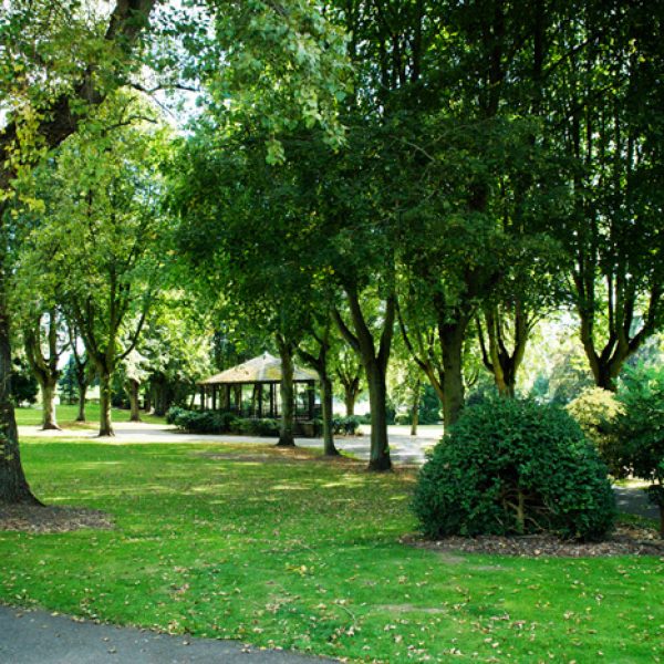 Ashbourne Park 