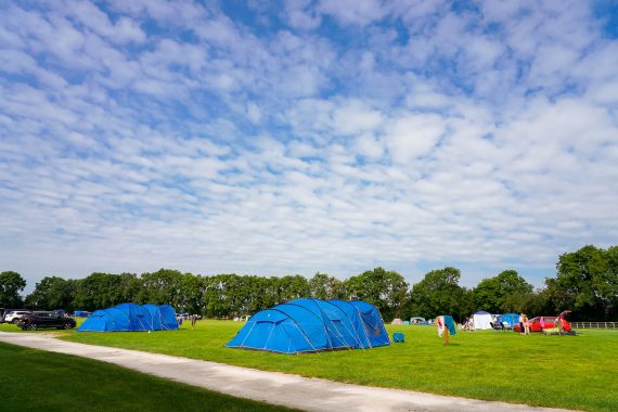 Spacious Camping PItches 